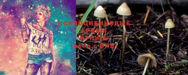 дмт Алексеевка